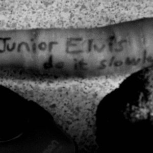 Image for 'Junior Elvis'