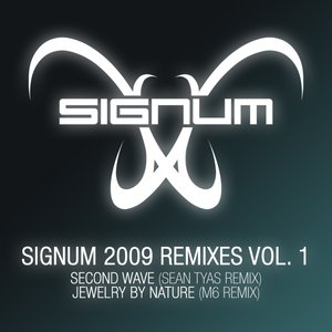 Image for 'Signum 2009 Remixes Vol. 1'