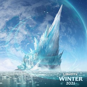 Image for 'Liquicity Winter 2021'