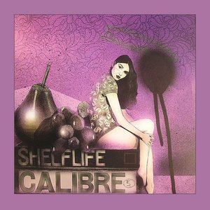 'Shelflife' için resim