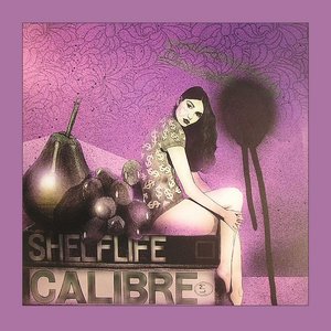 Image for 'Shelflife'