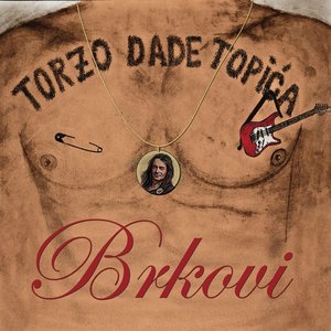 “Torzo Dade Topića”的封面