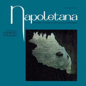 Image for 'Napoletana vol.11'