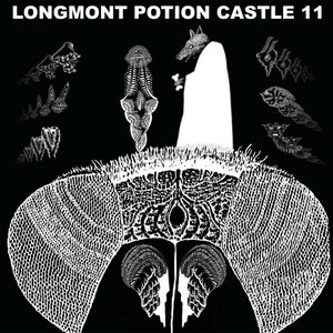 Image for 'Longmont Potion Castle 11'