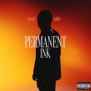 Image for 'Permanent Ink'