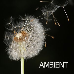 Image for 'Ambient - Ambient Music and Ambient Sounds for Relaxation Meditation, Spa, Massage and Yoga'