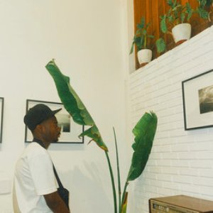Image for 'MLQ 2N'
