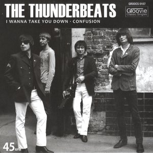 Image for 'The Thunderbeats'