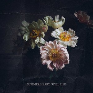 'Still Life'の画像