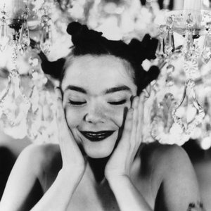 'Björk' için resim