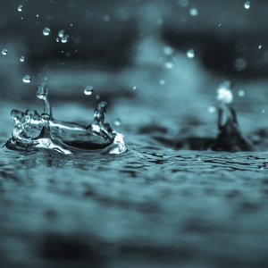 'Calming Rain' için resim