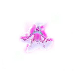 “voids”的封面