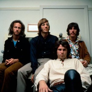 Image for 'The Doors'