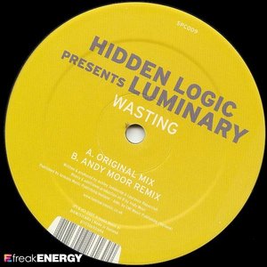 Image for 'hidden logic presents luminary'