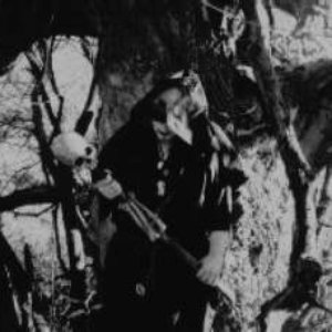 Image for 'Cernunnos Woods'