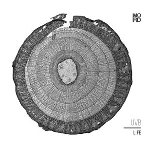 Image for 'LIfe'