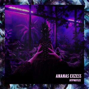 Image for 'Ananas Exzess'