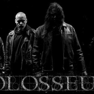 Image pour 'Colosseum'