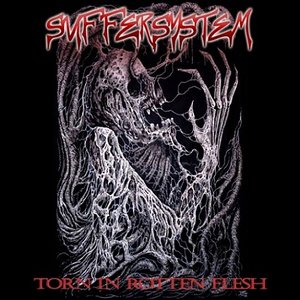 “Torn in Rotten Flesh”的封面