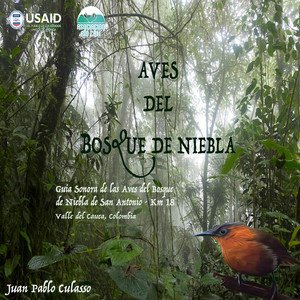 'Aves del Bosque de Niebla'の画像