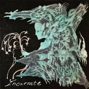 Image for 'Incarnate'