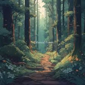 Image pour 'Ethereal Forest'