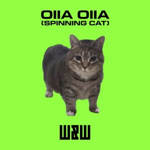 Image for 'OIIA OIIA (Spinning Cat)'