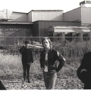 Image for 'The Dangtrippers'