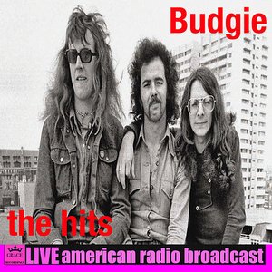 “The Hits (Live)”的封面