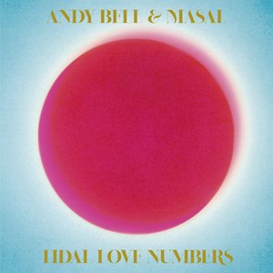 Immagine per 'Tidal Love Numbers'