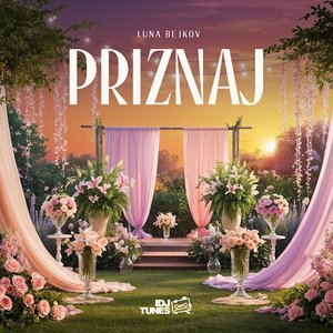Image for 'Priznaj'
