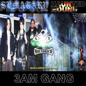 Immagine per '3AM Gang'