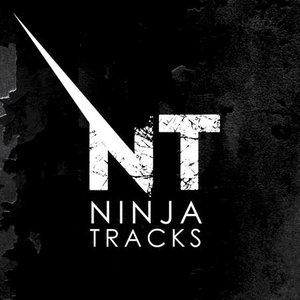 Image pour 'Ninja Tracks'