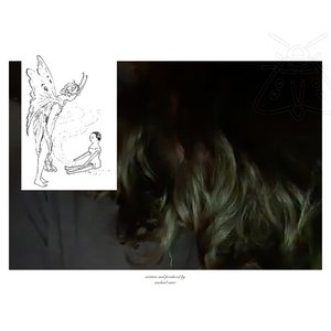 Image for 'visited by moth'