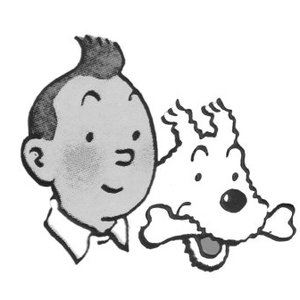 Bild für 'Tintin'