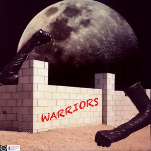 Image for 'Warriors'