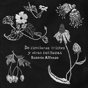 Image for 'De Canciones Tristes y Otras Sutilezas'