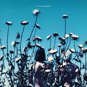 'Boomerang'の画像