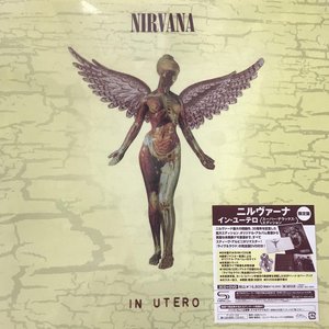 Bild för 'In Utero [2013 Japanese 「20th Anniversary Super Deluxe Edition」 Expanded SHM-CD Remaster]'