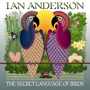 “The Secret Language Of Birds”的封面