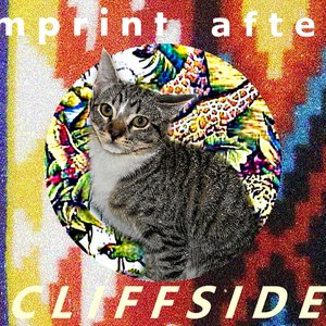 Image for 'CLIFFSIDE'