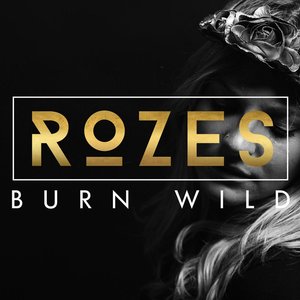 Image for 'Burn Wild'