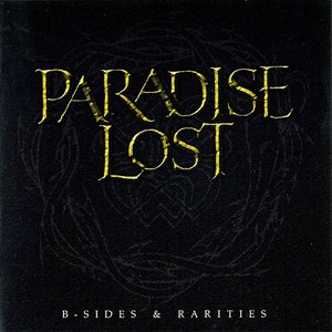 Bild för 'B-Sides & Rarities'