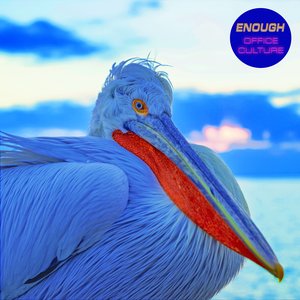Image for 'Enough'