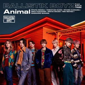 “Animal”的封面