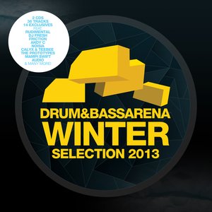 Image for 'Drum & Bass Arena Winter Selection 2013'