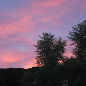 Image for 'Reflections of Nature'
