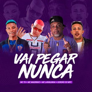 Image for 'Vai Pega Nunca'