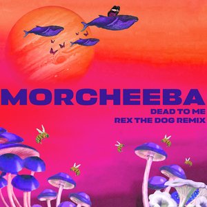 Bild för 'Dead To Me (Rex The Dog Remix)'