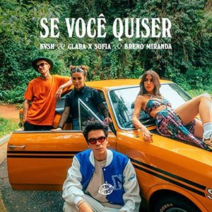 Image for 'Se Você Quiser'